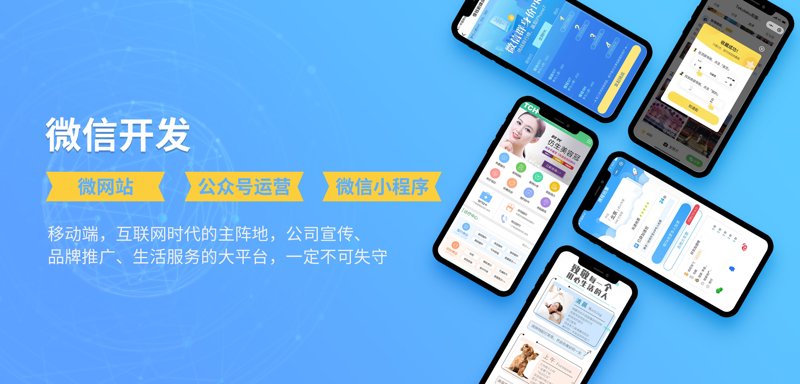 企业软件定制：为企业插上数字化翅膀